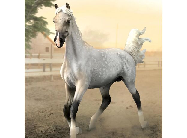 اسب نر نیمه عربی خال‌دار طوسی - مقیاس 1:12, image 2