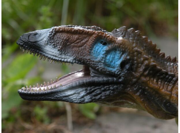 کارکارودونتوسور - مقیاس 1:40, image 3