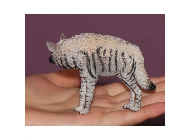 کفتار راه‌راه, image 7