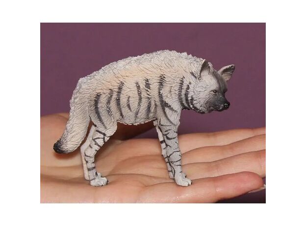 کفتار راه‌راه, image 6