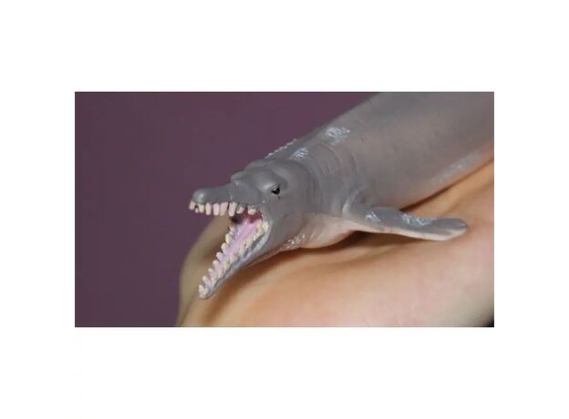 نهنگ باسیلوسور, image 2