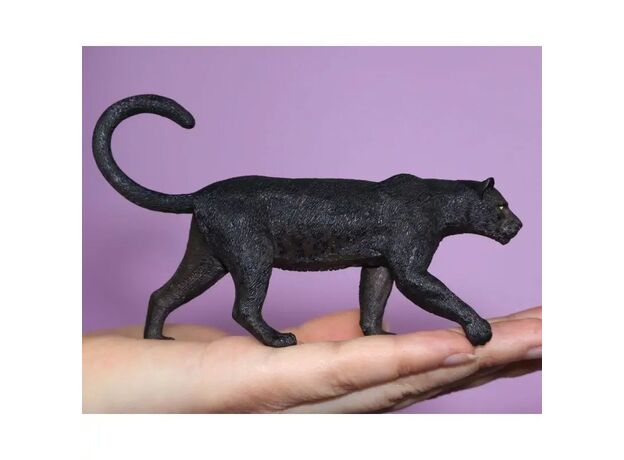 پلنگ سیاه, image 2