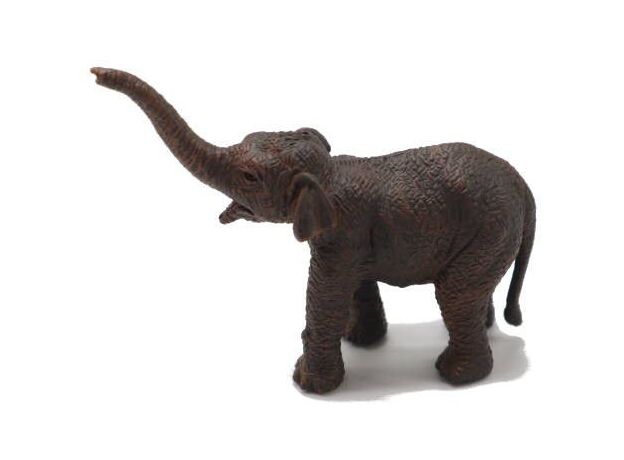 بچه فیل آسیایی, image 3