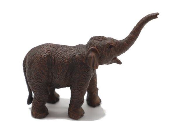 بچه فیل آسیایی, image 2