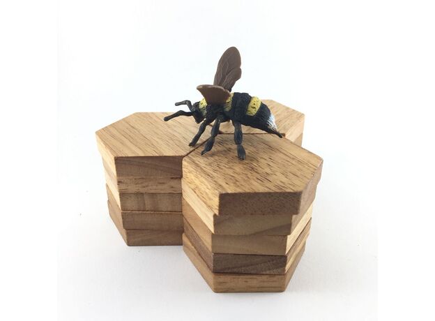 زنبور مخملی, image 7