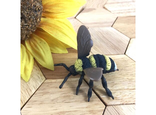 زنبور مخملی, image 6