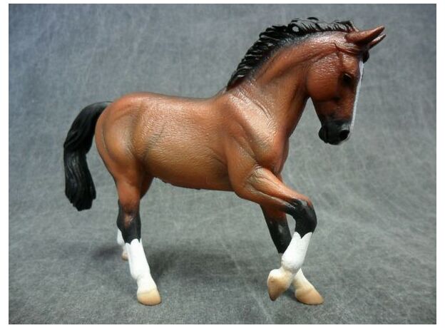 اسب نر خون گرم کَهَر, image 2