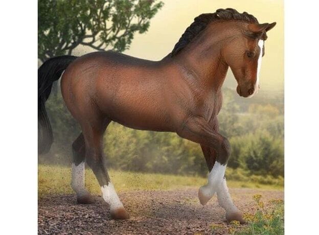اسب نر خون گرم کَهَر, image 3