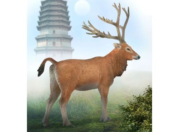 گوزن پدر دیوید, image 2