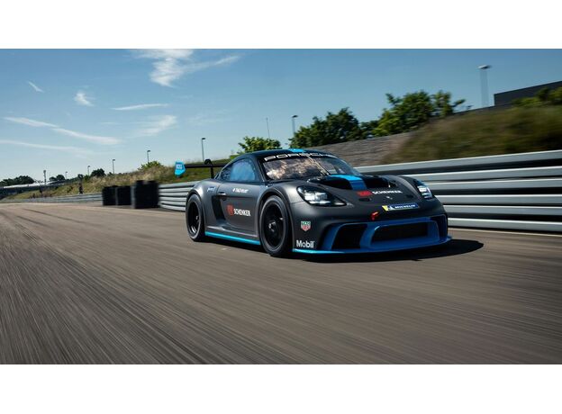 لگو تکنیک مدل ماشین مسابقه ‌ای پورشه GT4 e-Performance (42176), image 23