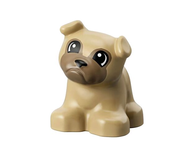 لگو دوپلو مدل جعبه‌ آجرهای بازی (10914), image 17