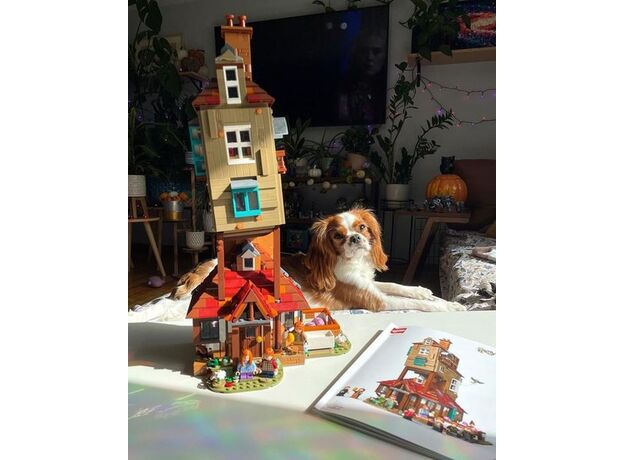 لگو هری پاتر مدل خانه Burrow خانواده ویزلی نسخه کلکسیونی (76437), image 8