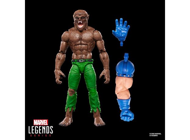 فیگور 15 سانتی گرگینه در شب مارول Marvel Legends, image 5