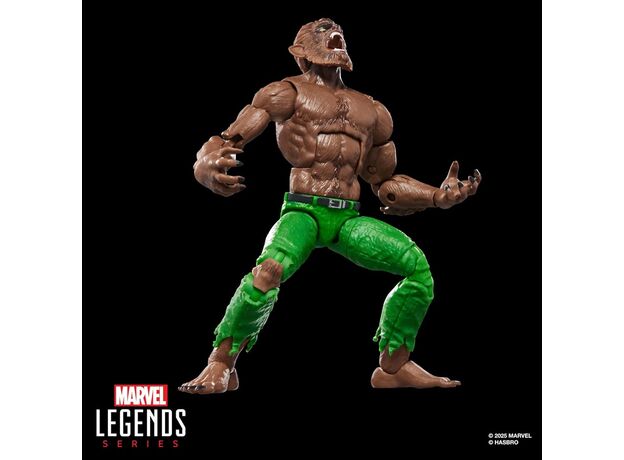 فیگور 15 سانتی گرگینه در شب مارول Marvel Legends, image 6