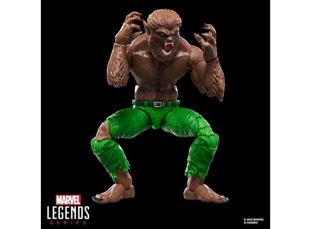فیگور 15 سانتی گرگینه در شب مارول Marvel Legends, image 8
