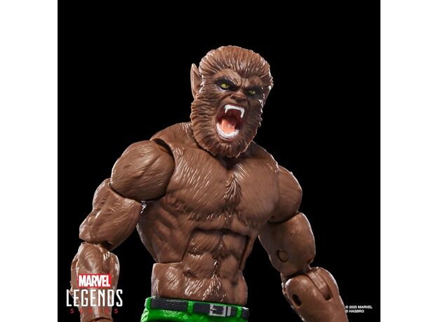 فیگور 15 سانتی گرگینه در شب مارول Marvel Legends, image 10