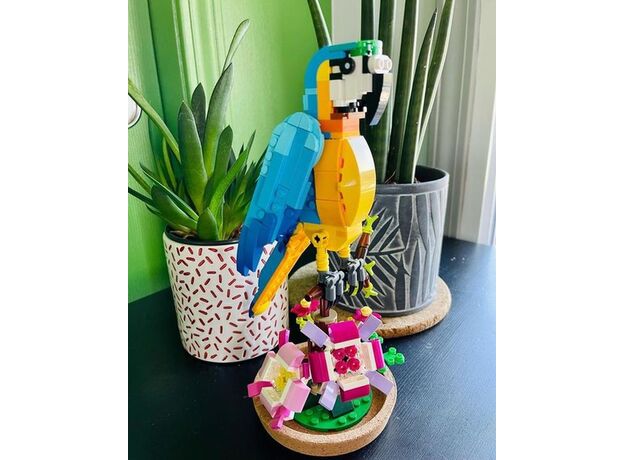 لگو کریتور 3 در 1 مدل طوطی کمیاب (31136), image 13