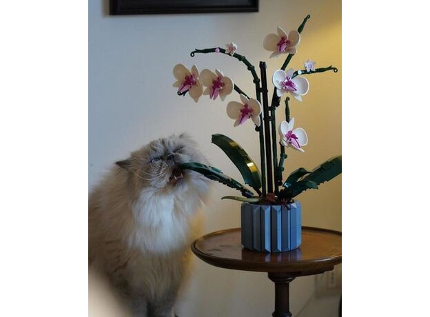 لگو بوتانیکالز مدل ارکیده (10311), image 11