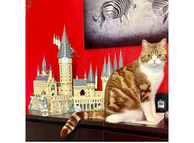 لگو هری پاتر مدل قلعه هاگوارتز (71043), image 17