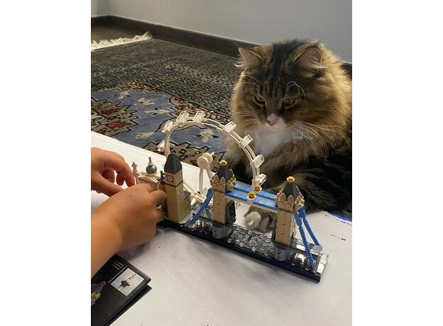 لگو آرشیتکت مدل لندن (21034), image 11