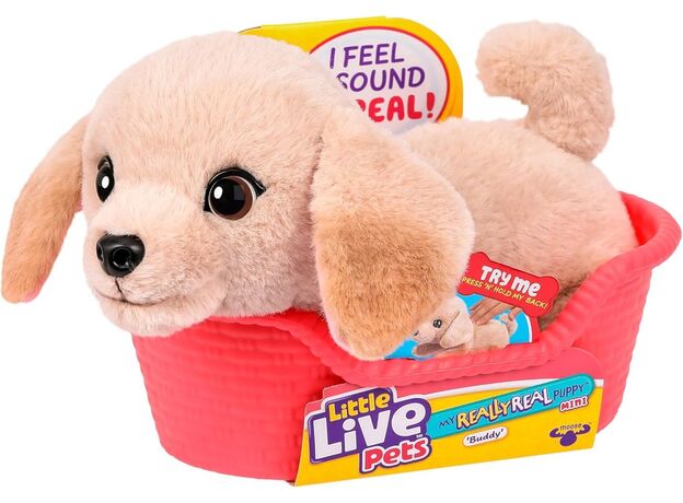 بادی هاپو کوچولوی رباتیک Little Live Pets, تنوع: 26650-Buddy, image 