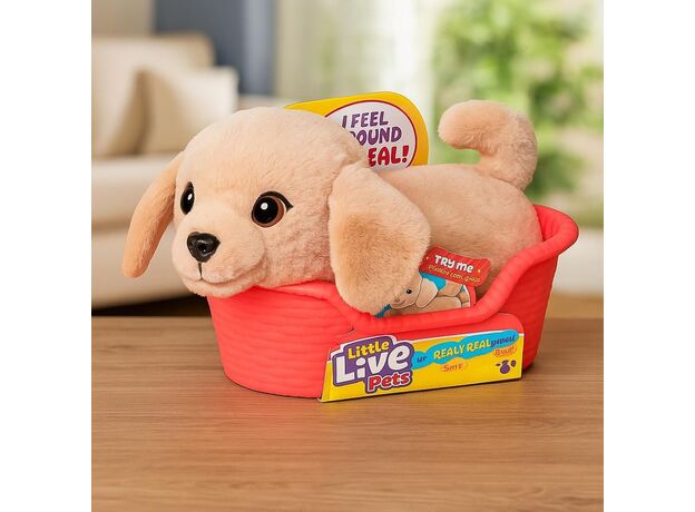 بادی هاپو کوچولوی رباتیک Little Live Pets, تنوع: 26650-Buddy, image 6