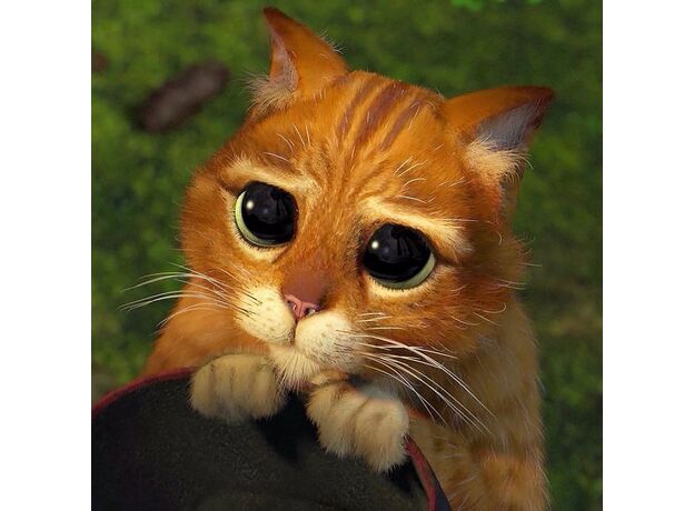 فیگور 9 سانتی فانکو پاپ گربه چکمه پوش (1596), image 8