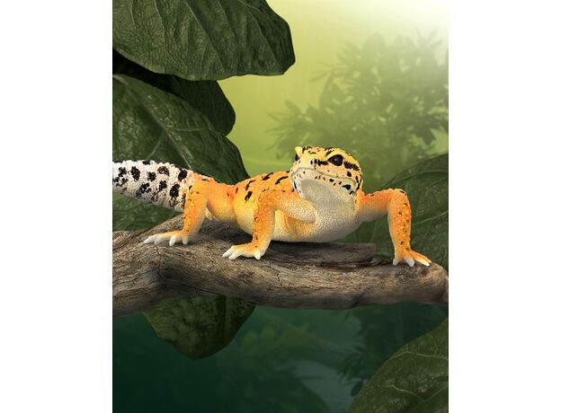 گکو پلنگی, image 4