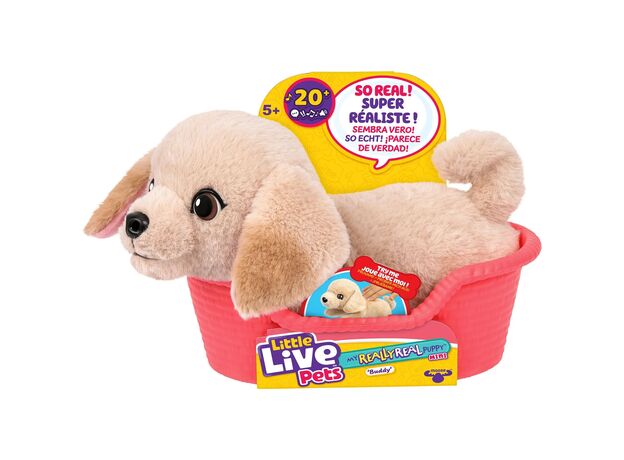 بادی هاپو کوچولوی رباتیک Little Live Pets, تنوع: 26650-Buddy, image 8