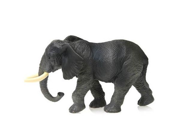 فیل آفریقایی, image 2