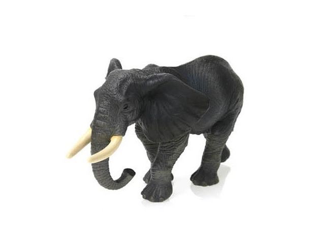 فیل آفریقایی, image 3