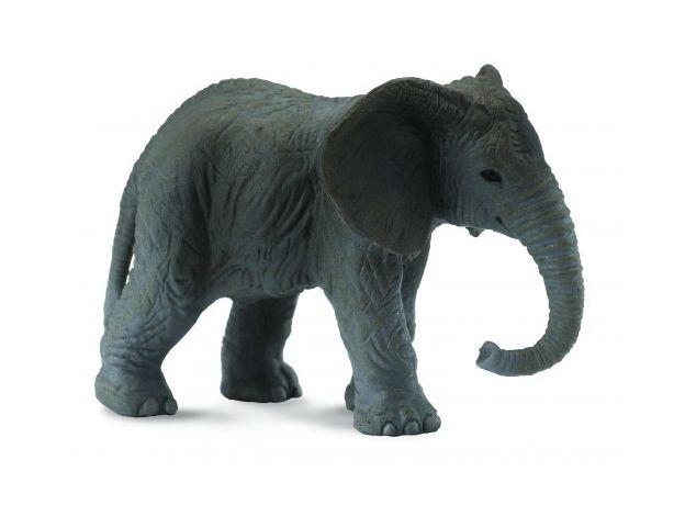 بچه فیل آفریقایی, image 