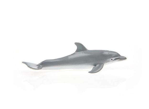 دلفین پوزه‌بطری, image 2