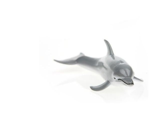 دلفین پوزه‌بطری, image 3
