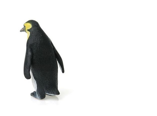 پنگوئن امپراتور, image 4