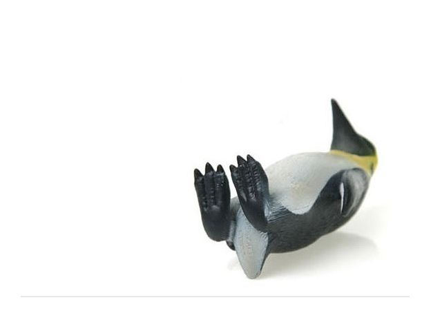 پنگوئن امپراتور, image 5