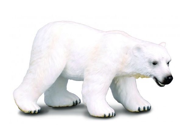 خرس قطبی, image 