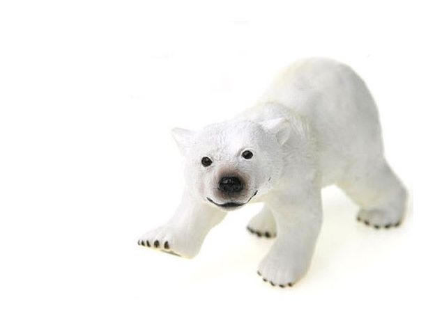 بچه خرس قطبی - ایستاده, image 3