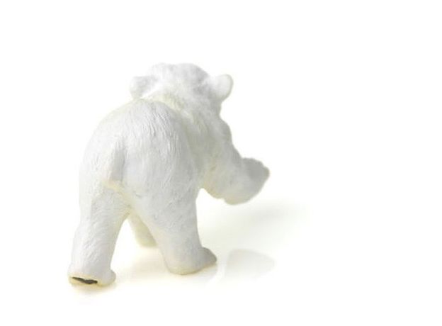 بچه خرس قطبی - ایستاده, image 4