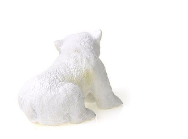 بچه خرس قطبی - نشسته, image 3