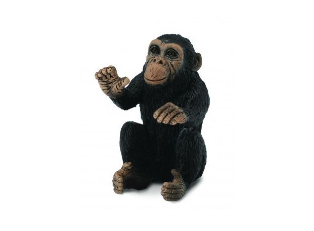 بچه شامپانزه - در حال بغل کردن, image 