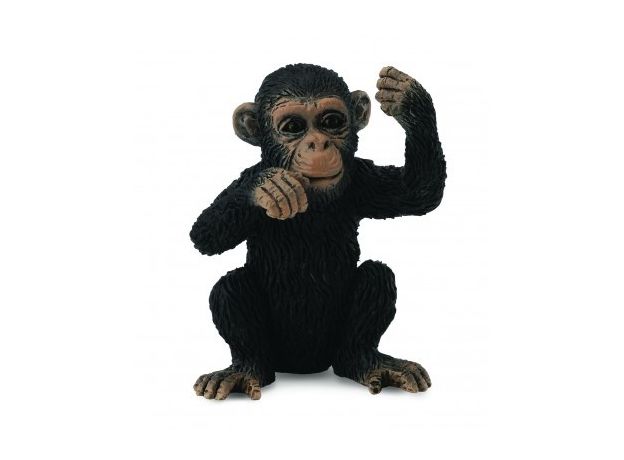 بچه شامپانزه - درحال فکر کردن, image 