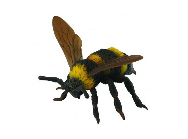 زنبور مخملی, image 