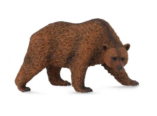 خرس قهوه‌ای, image 