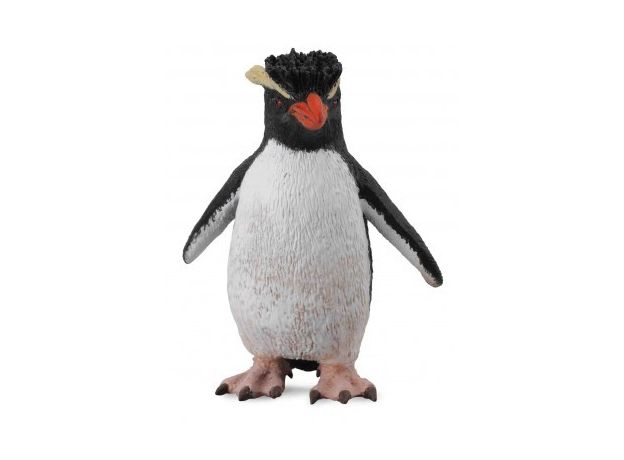 پنگوئن صخره‌پر, image 