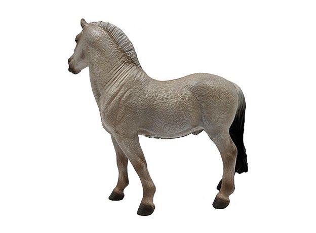 اسب نر فجورد خاکستری, image 