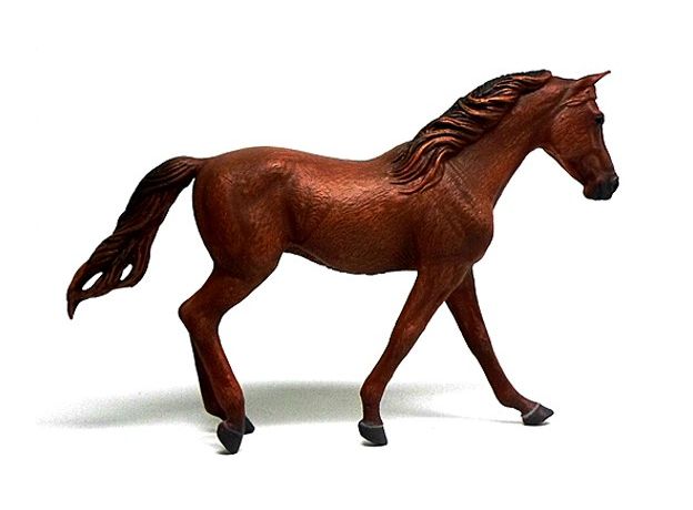اسب ماده میسوری فوکس تروتر کُرَنگ, image 