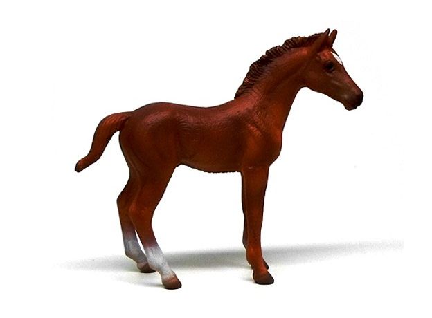 کره اسب تروبرد کُرَنگ - ایستاده, image 