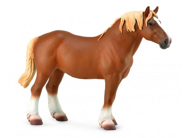 اسب ماده بلژیکی کُرَنگ, image 