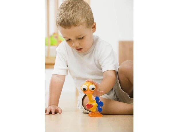 اردک چشم متحرک Tolo, تنوع: 89679-Bird, image 5